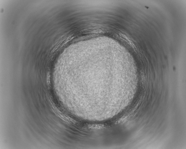 X0000059850549200511181541