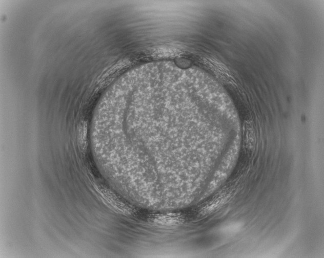 X0000059850550200511181541