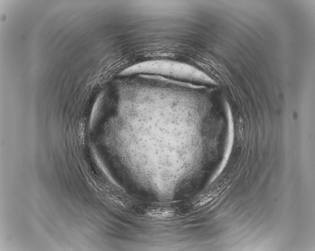 X0000059850551200511181541