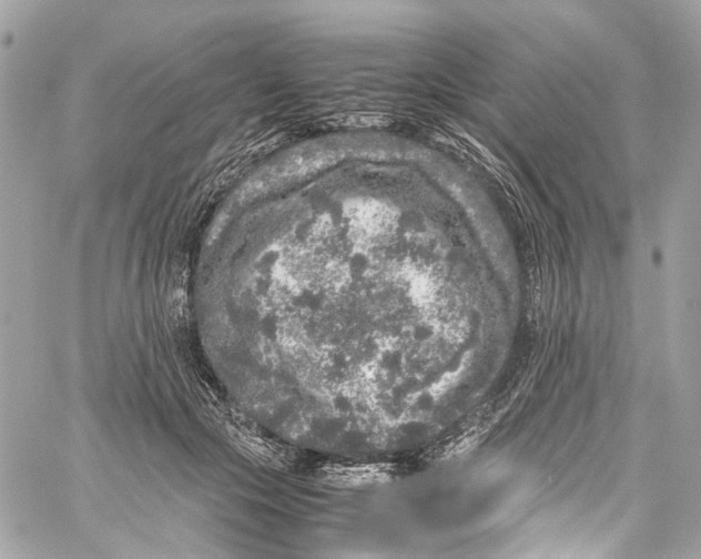 X0000059850553200511181541