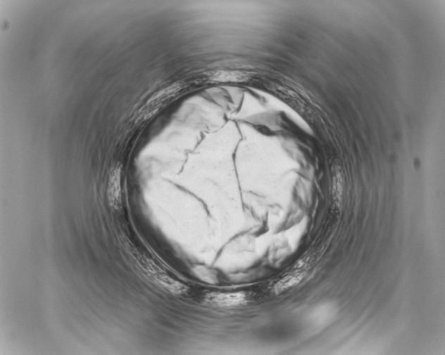 X0000059850554200511181541