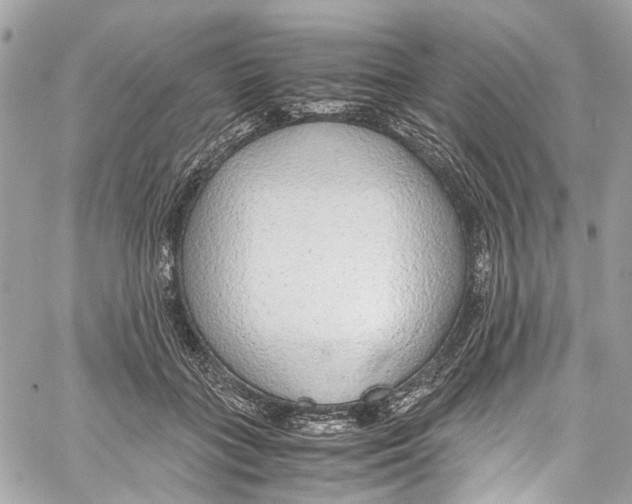 X0000059850555200511181541