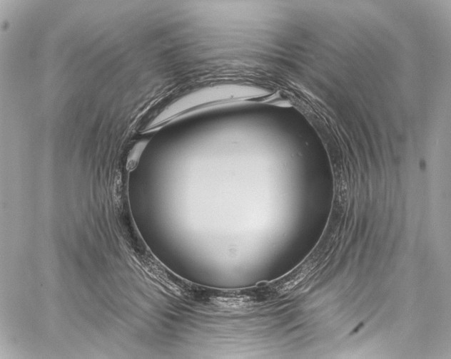 X0000059850556200511181541