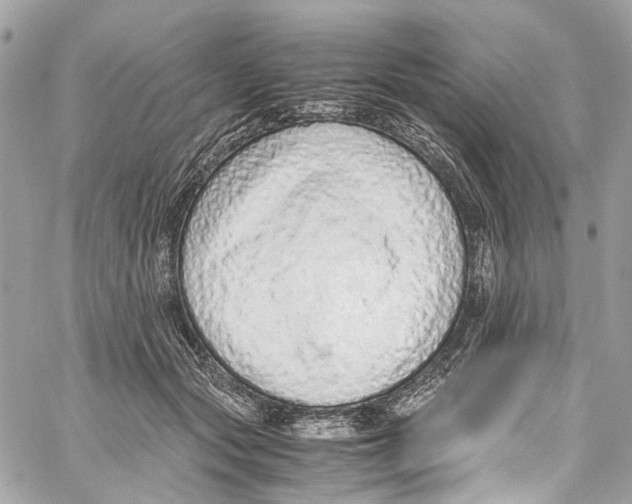 X0000059850557200511181541