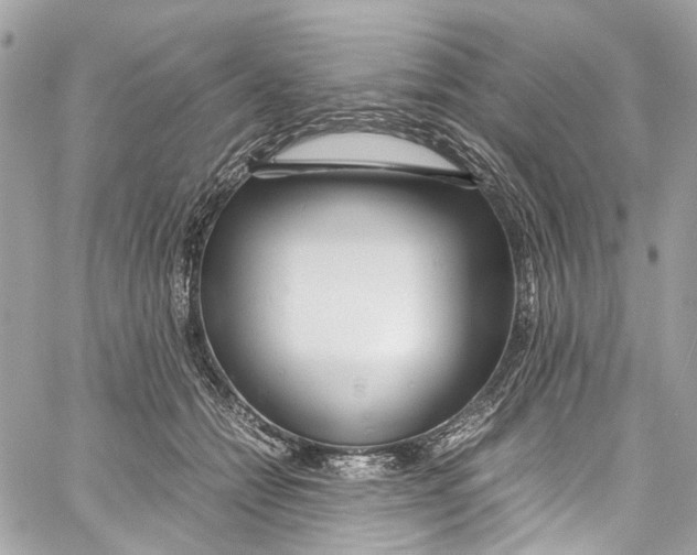 X0000059850558200511181541