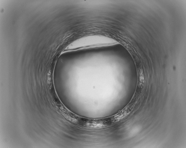 X0000059850559200511181541