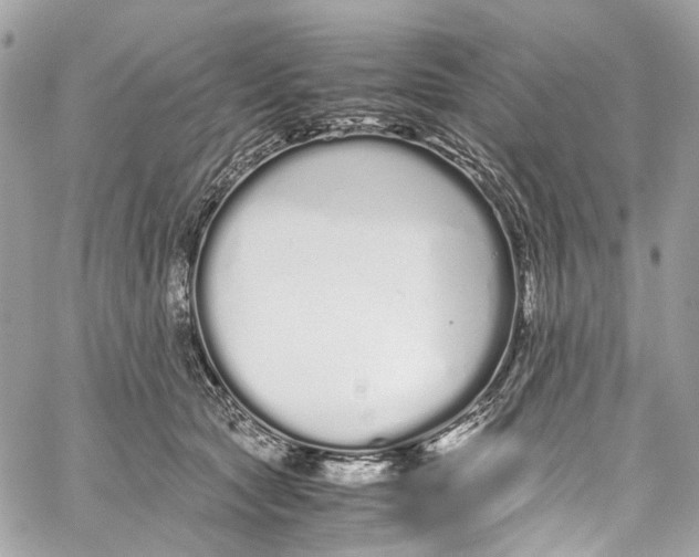 X0000059850561200511181541