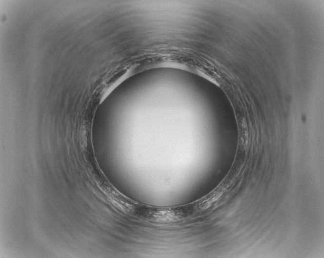 X0000059850562200511181541