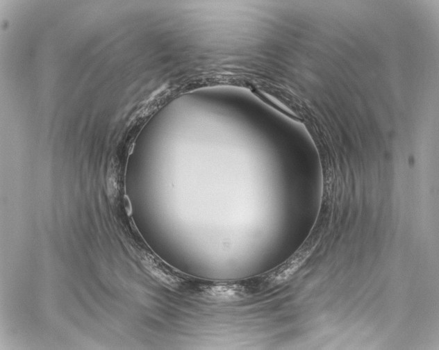 X0000059850566200511181541