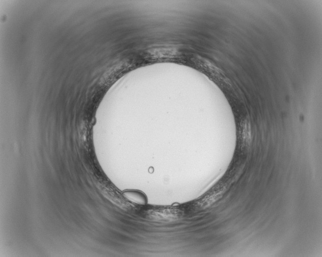 X0000059850567200511181541