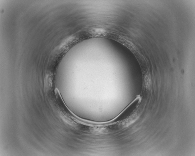 X0000059850570200511181541