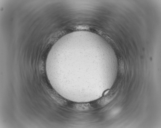 X0000059850571200511181541