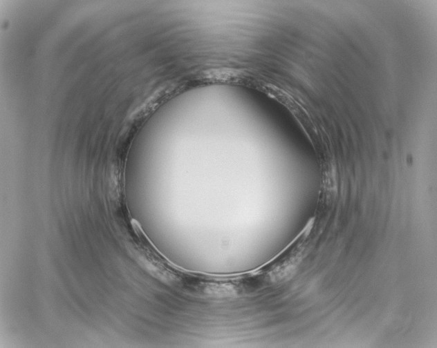 X0000059850572200511181541