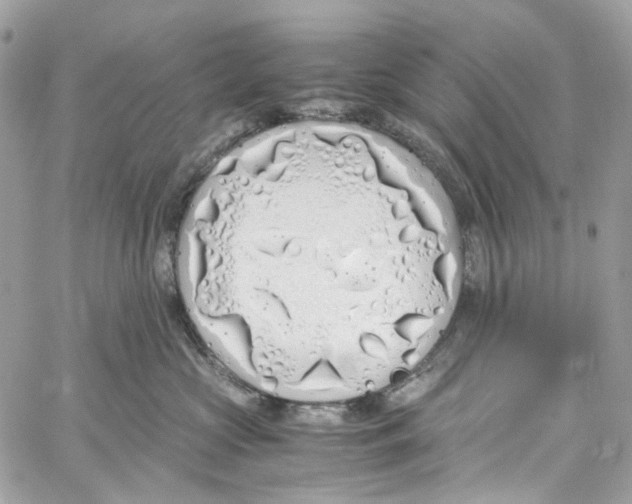 X0000059850573200511181541