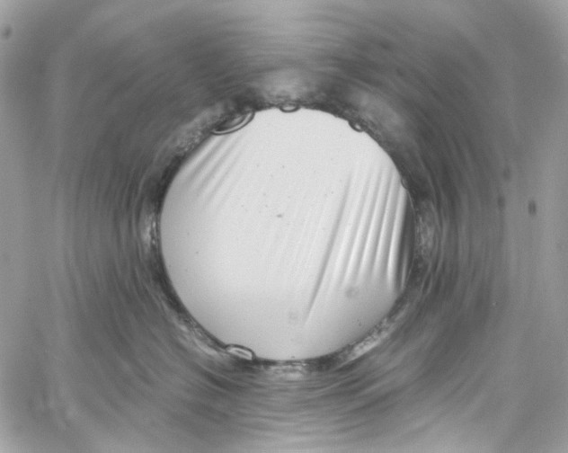 X0000059850574200511181541