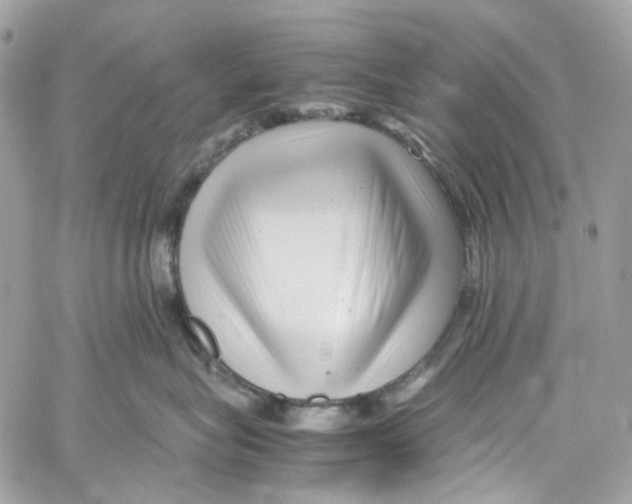 X0000059850575200511181541