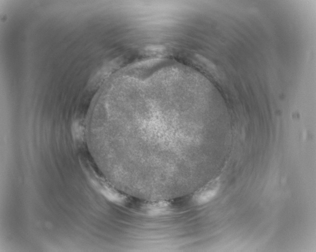 X0000059850576200511181541