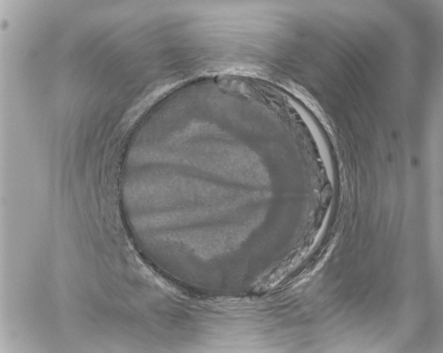 X0000059850577200511181541