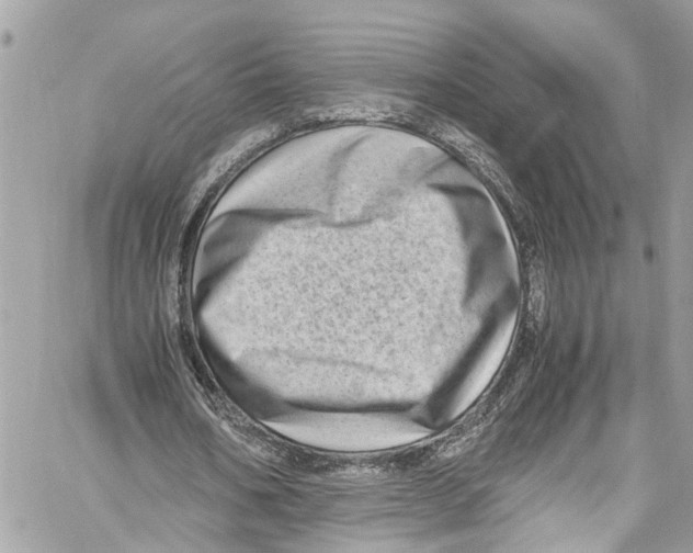 X0000059850578200511181541