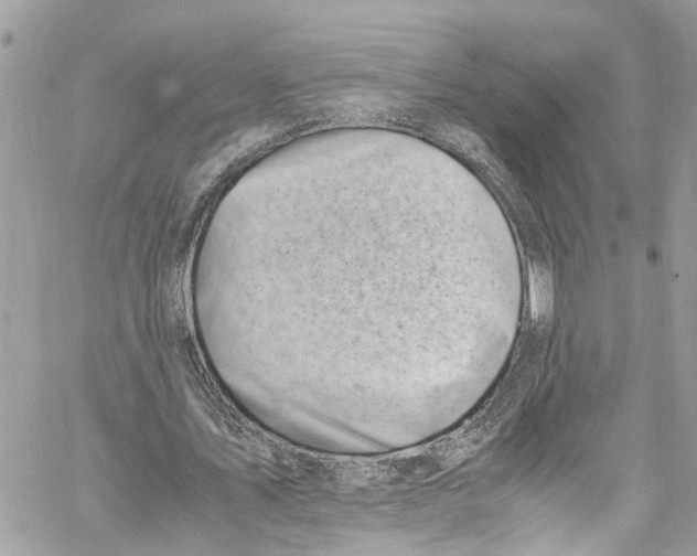 X0000059850579200511181541