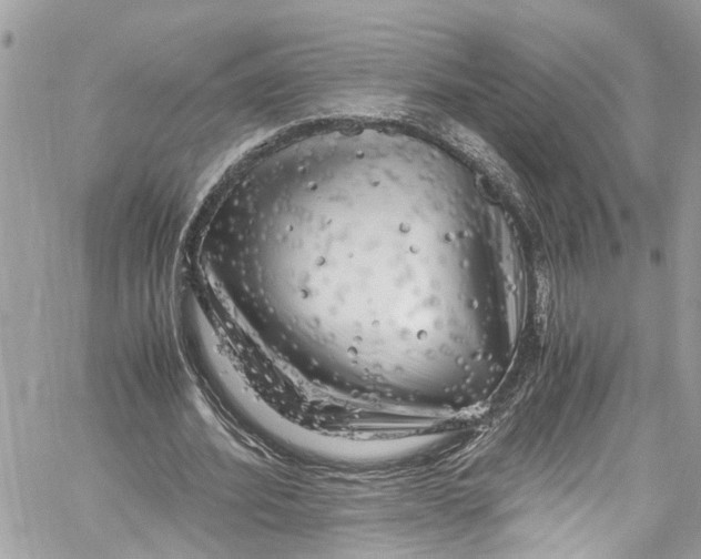 X0000059850580200511181541