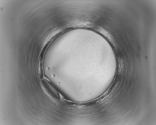 X0000059850582200511181540