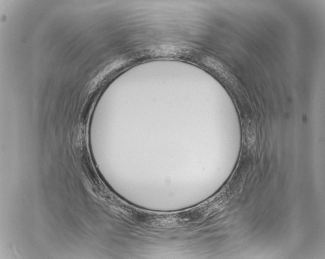 X0000059850583200511181540