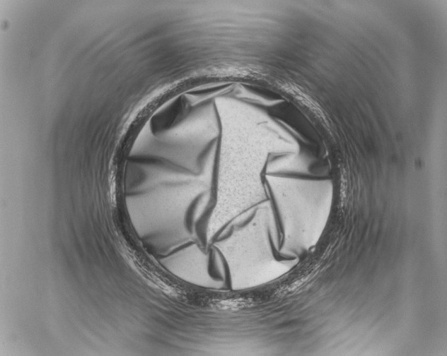 X0000059850584200511181540