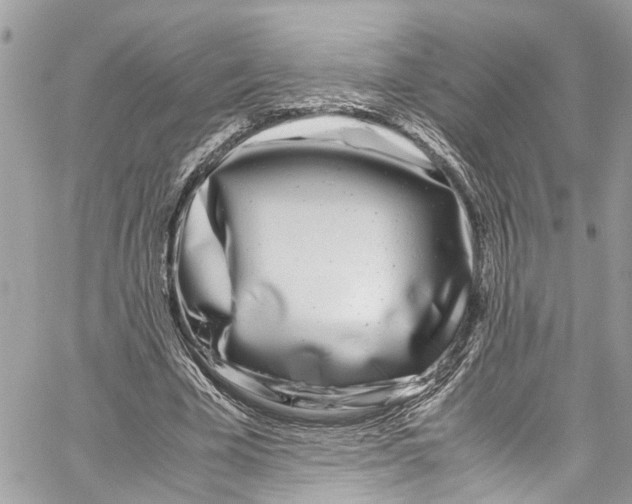 X0000059850585200511181540