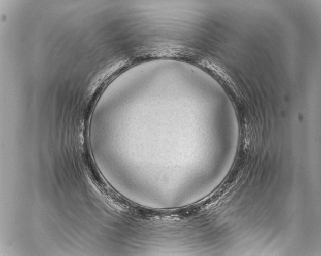 X0000059850586200511181540