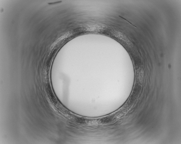 X0000059850587200511181540