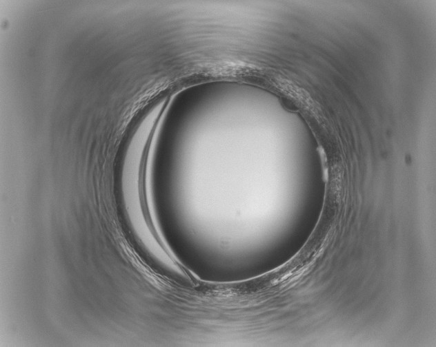 X0000059850589200511181540