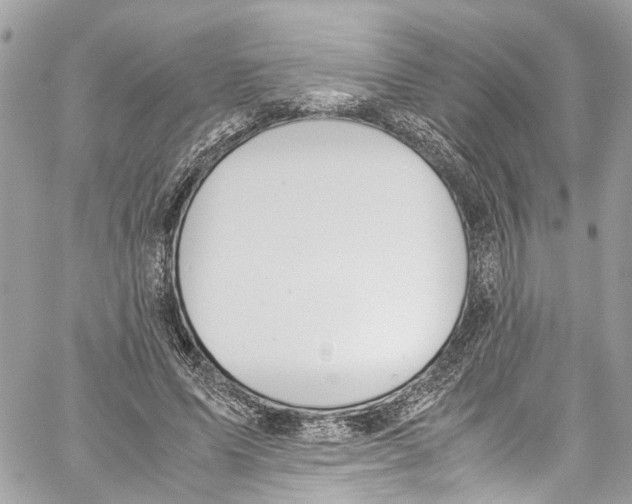 X0000059850591200511181540