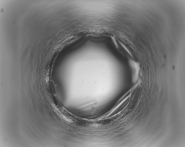 X0000059850593200511181540