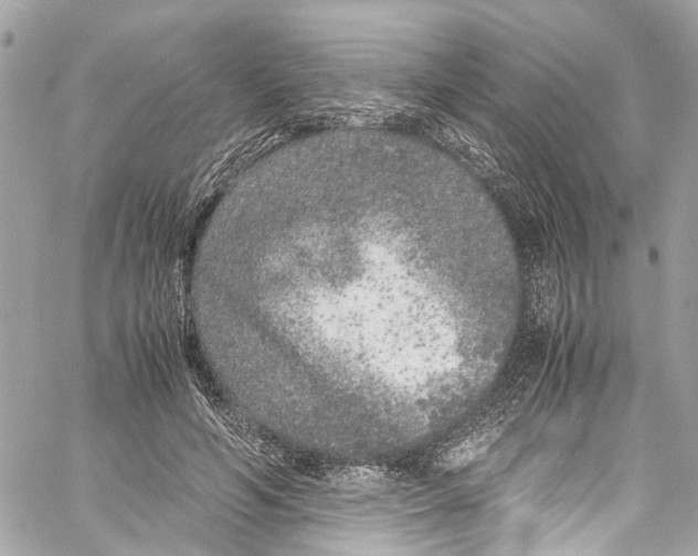 X0000059850594200511181540