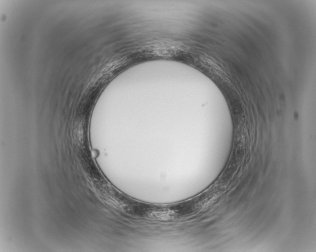 X0000059850595200511181540