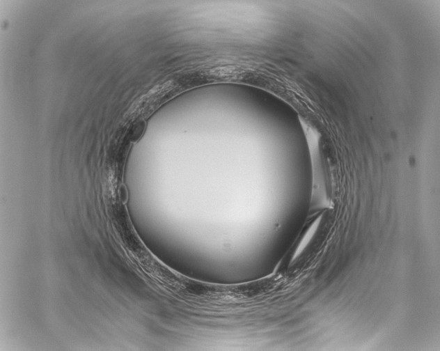 X0000059850597200511181540