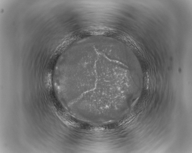 X0000059850598200511181540