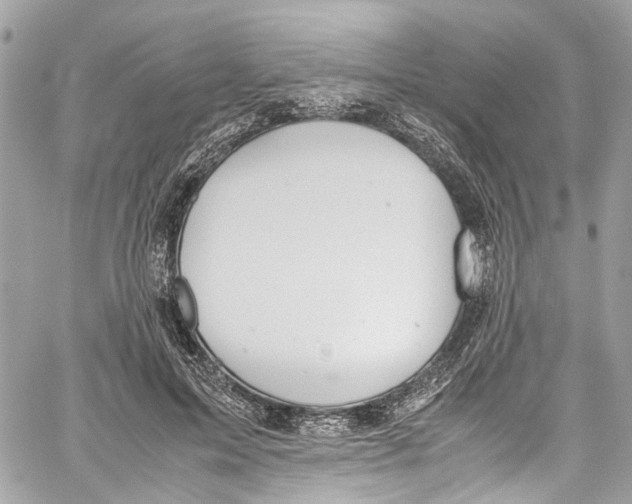 X0000059850599200511181540