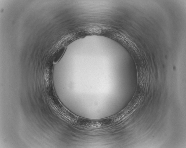 X0000059850600200511181540