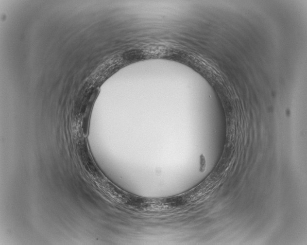 X0000059850601200511181540