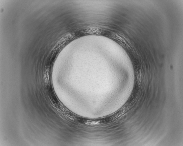 X0000059850602200511181540