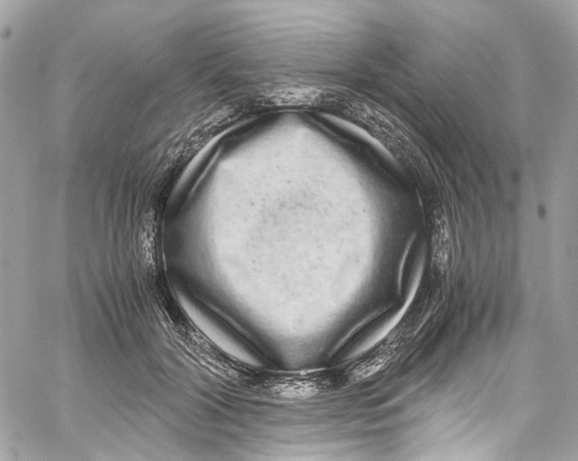 X0000059850604200511181540