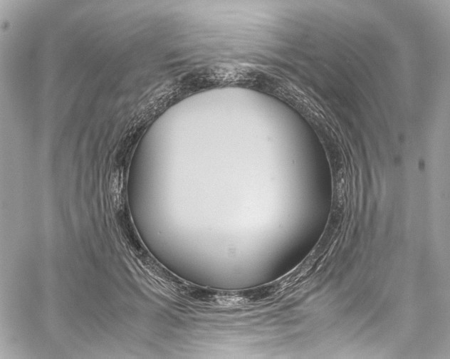 X0000059850605200511181540