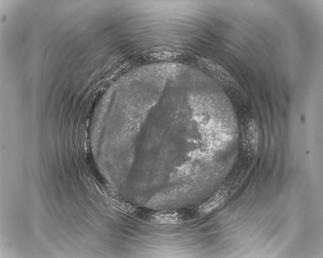 X0000059850606200511181540