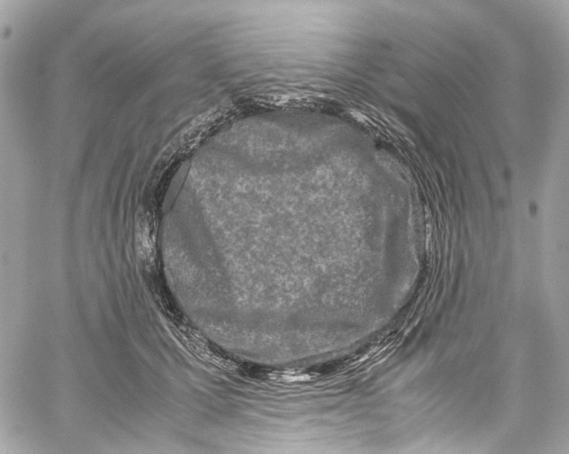 X0000059850607200511181540