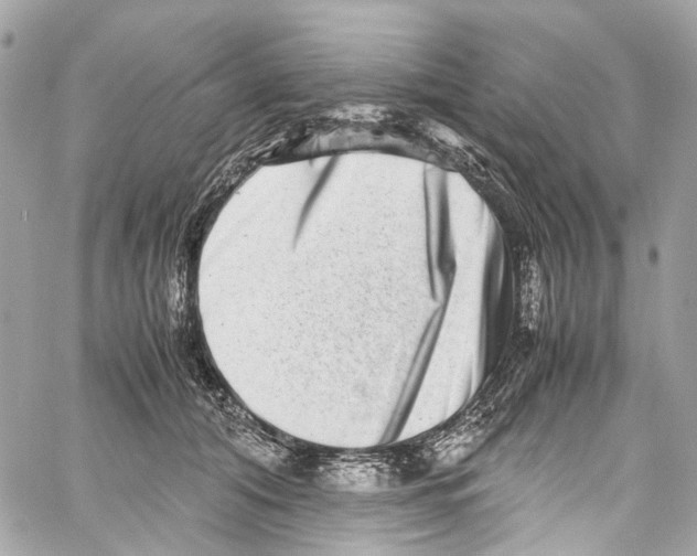 X0000059850608200511181540