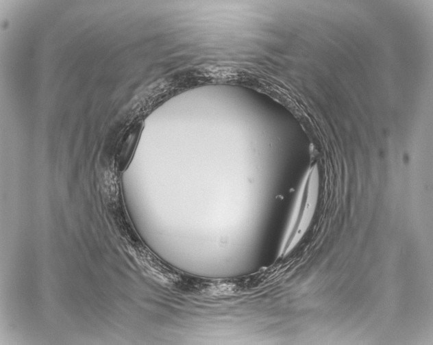 X0000059850609200511181540