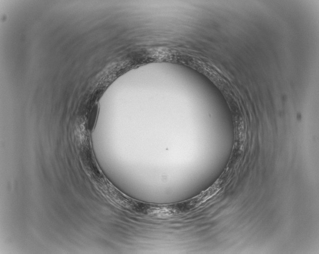 X0000059850611200511181540