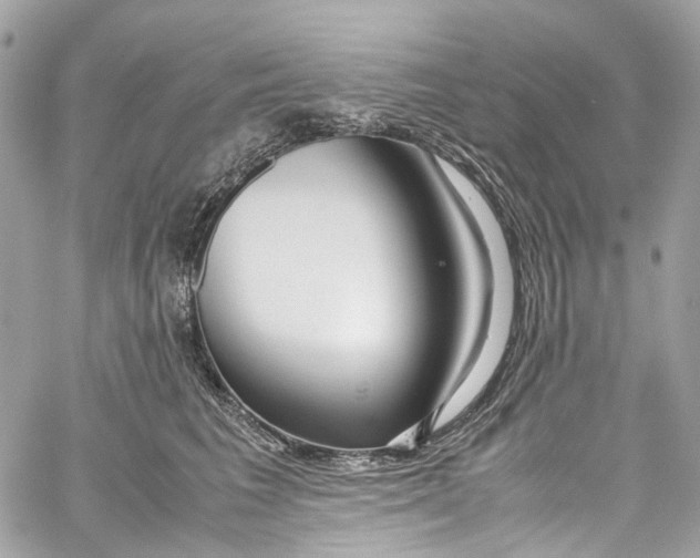 X0000059850613200511181540